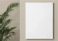 No Frame