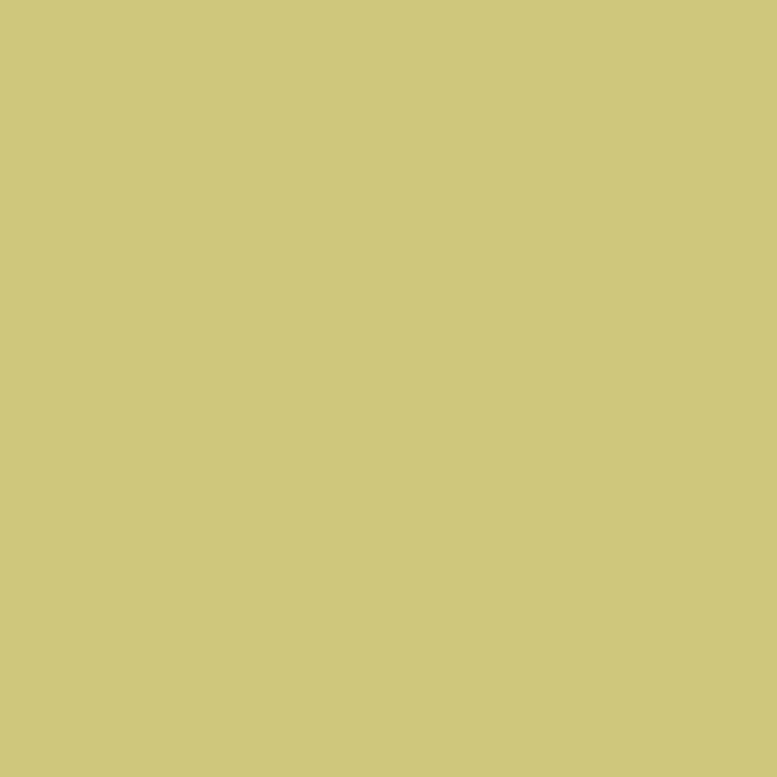 Golden Metal Hook