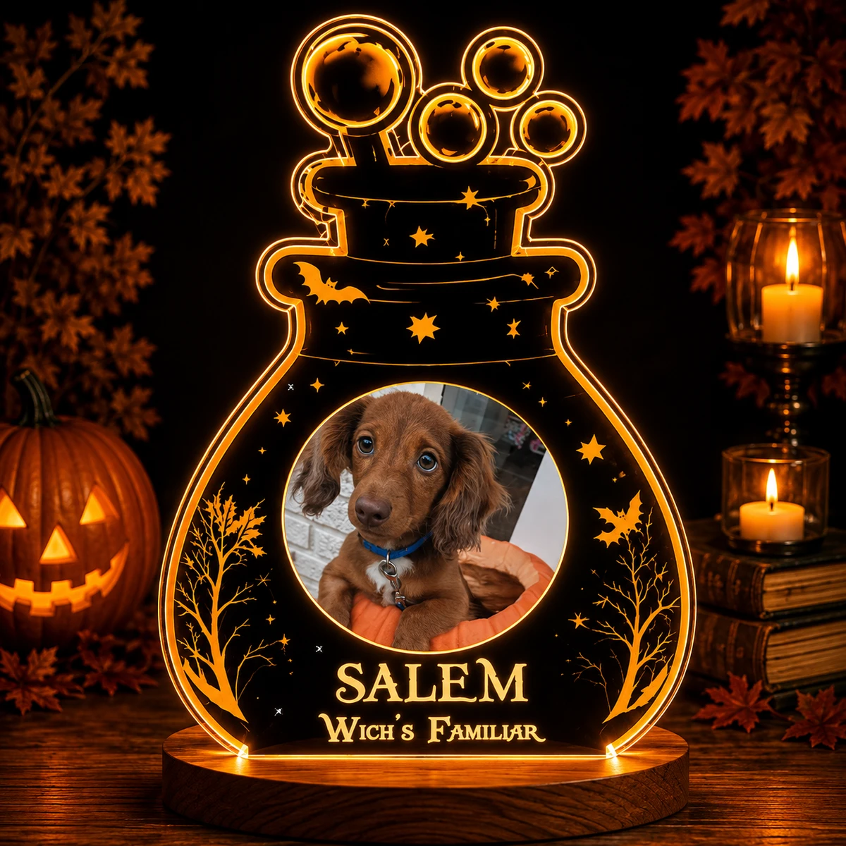 Personalized "Witch'S Familiar" Potion Bottle Pet Photo Led Night Light
