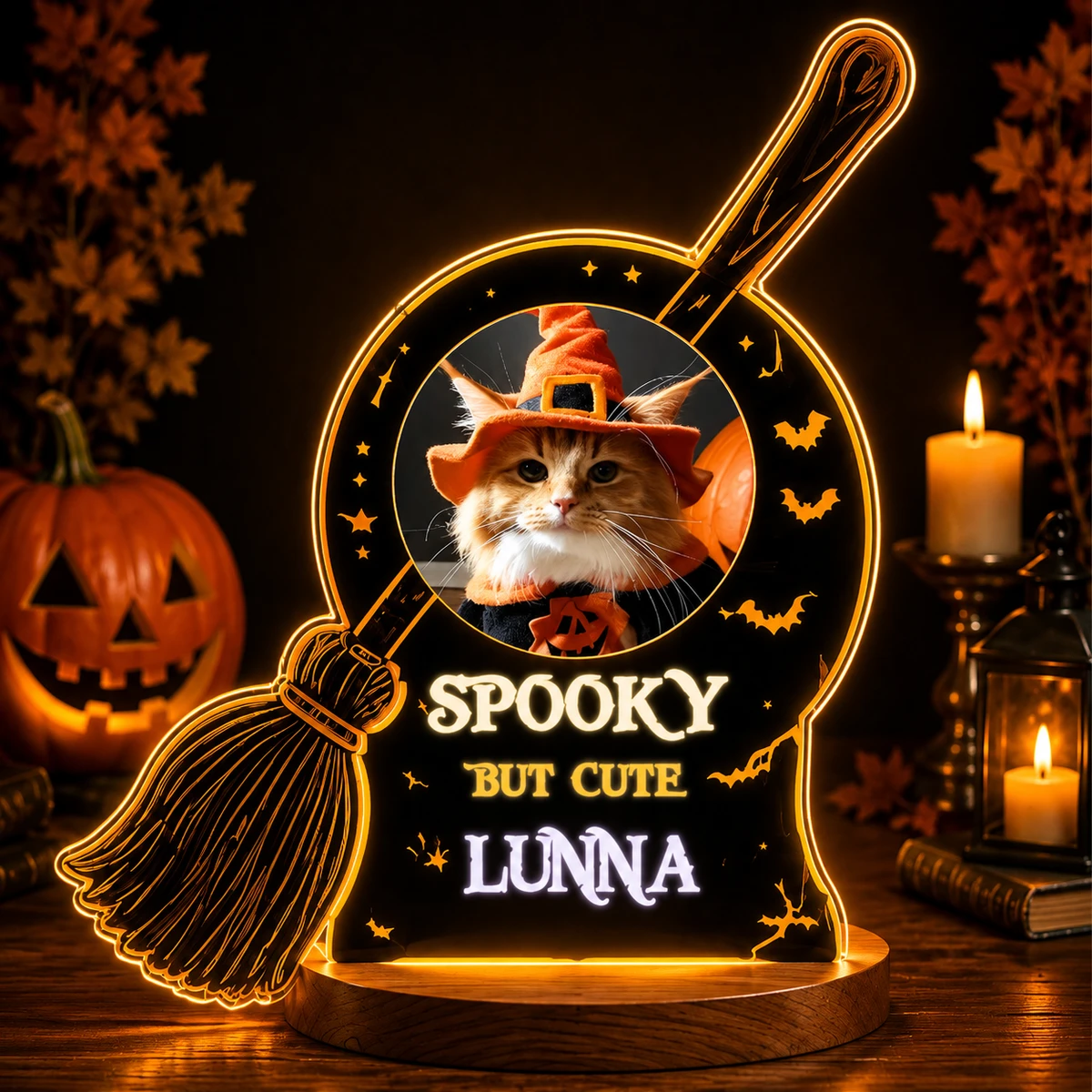 Personalized "Spooky But Cute" Witch Broom Pet Photo Led Night Light