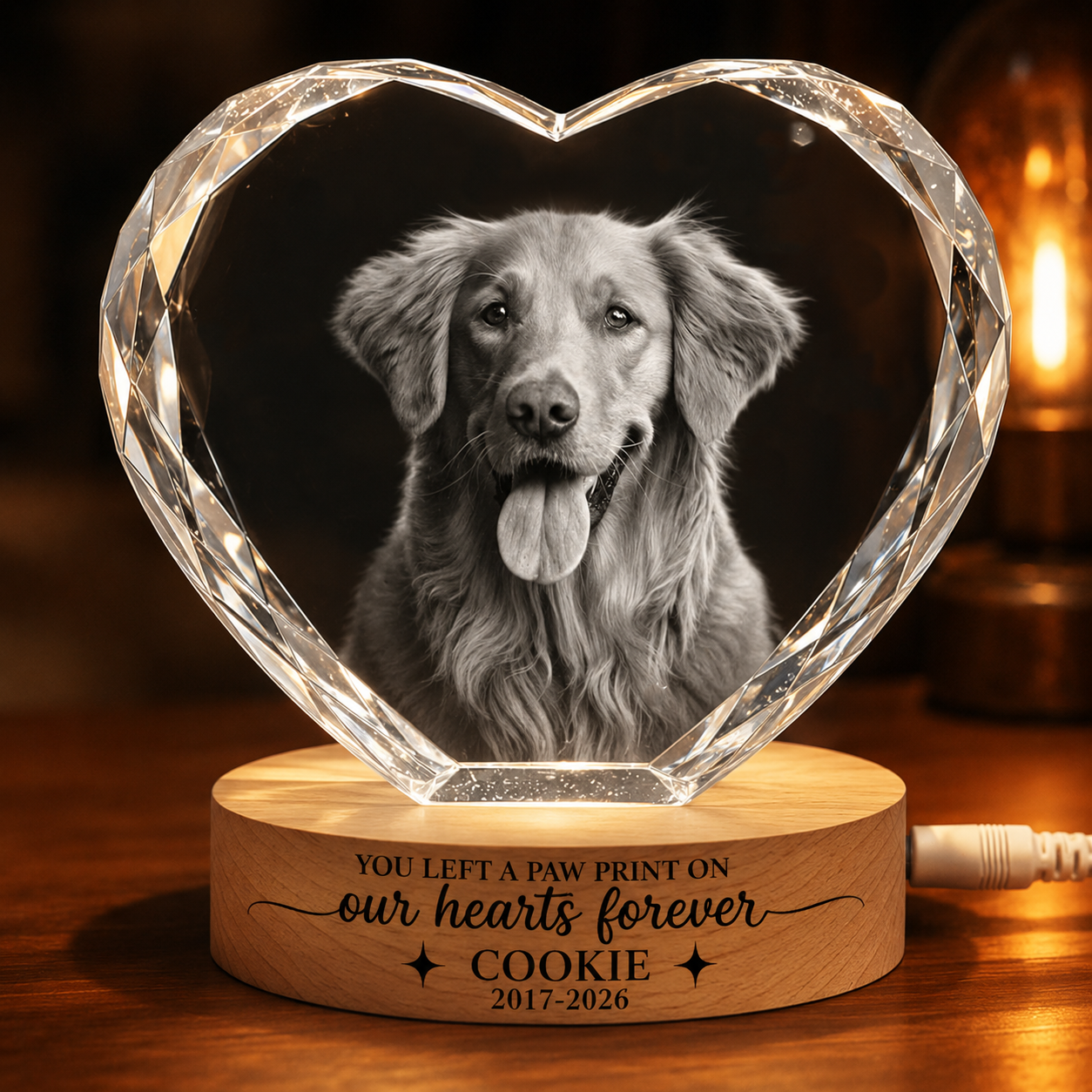 Custom Photo Forever Loved Memorial Dog Cat - Personalized Crystal Heart Shaped Lamp